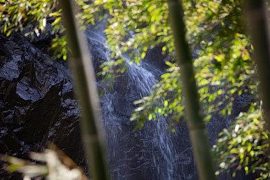 《战锤40K：混沌之门恶魔猎人》实机演示 战斗、机能介绍